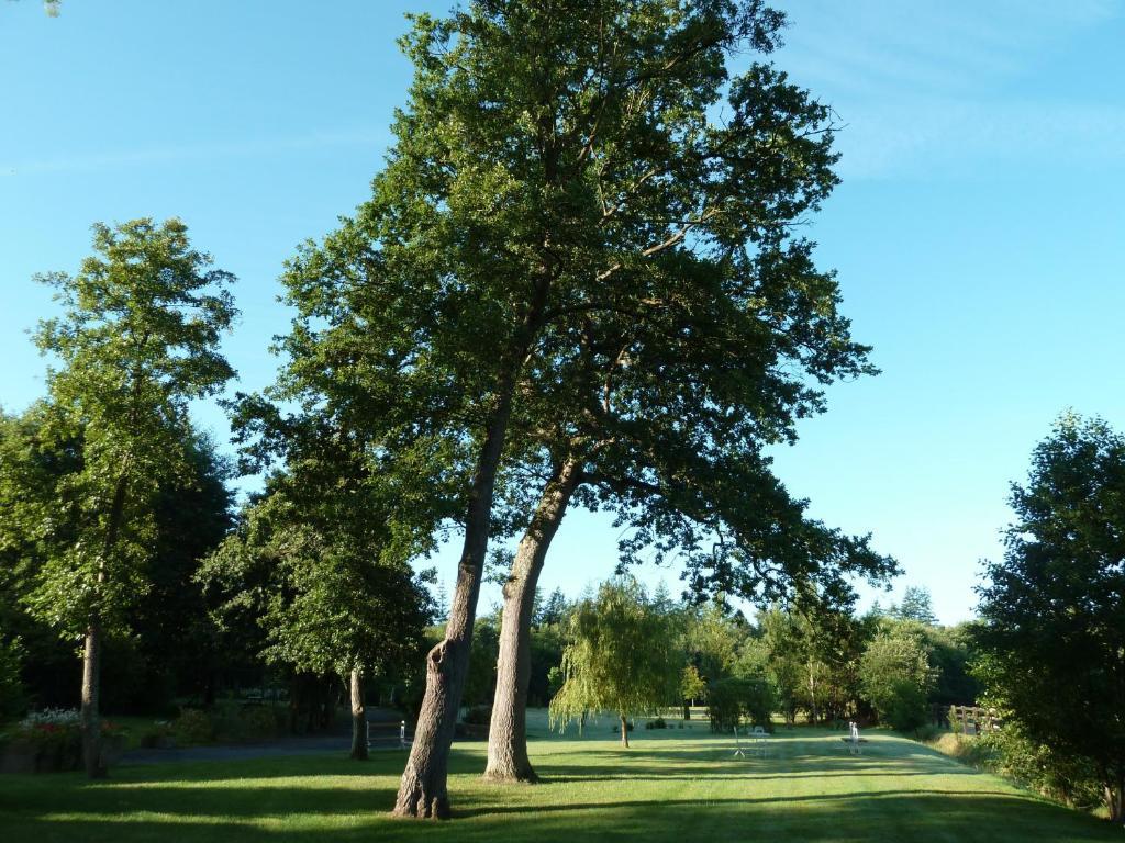 Bed & Breakfast Domaine De La Tour 4*