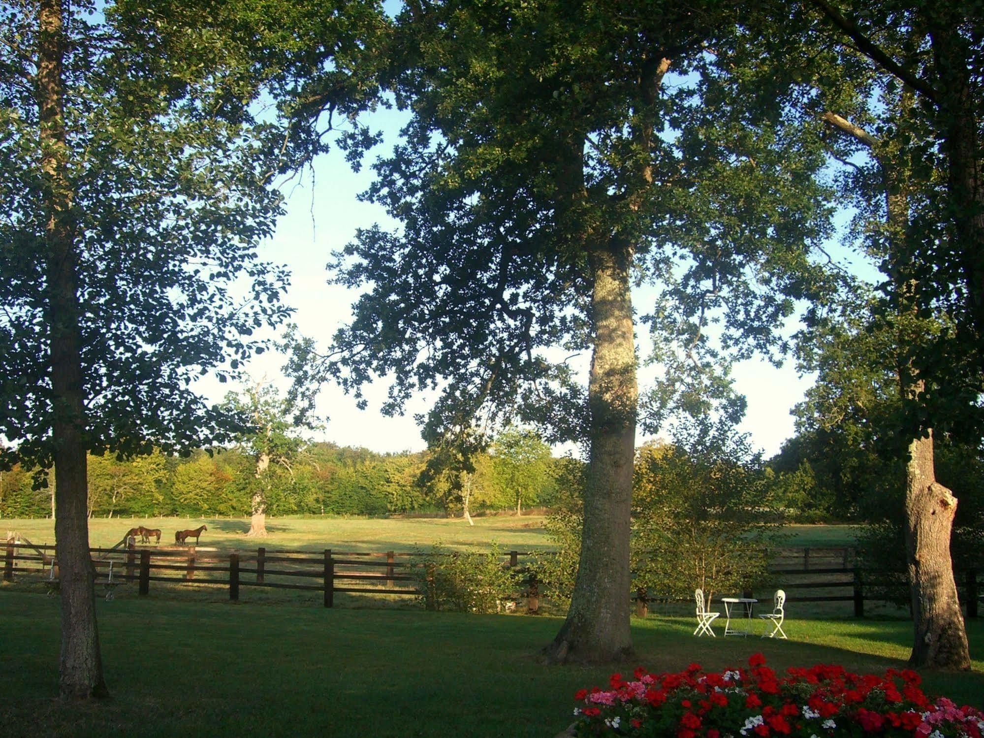Domaine De La Tour Bed & Breakfast 4*